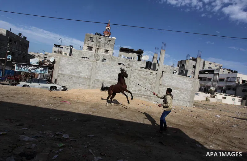 A young Palestinian performs a stunt with a horse at al-Shati refugee camp, in the west Gaza City on February 02, 2014. Photo by Ashraf Amra