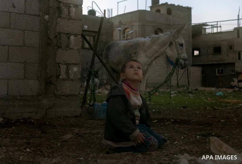 A Palestinian child sits next to a donkey in Gaza City, on Feb. 05, 2014. Photo by Abedllah Jadllah