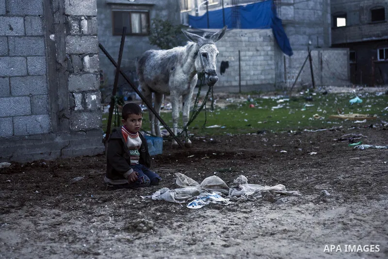 A Palestinian child sits next to a donkey in Gaza City, on Feb. 05, 2014. Photo by Abedllah Jadllah