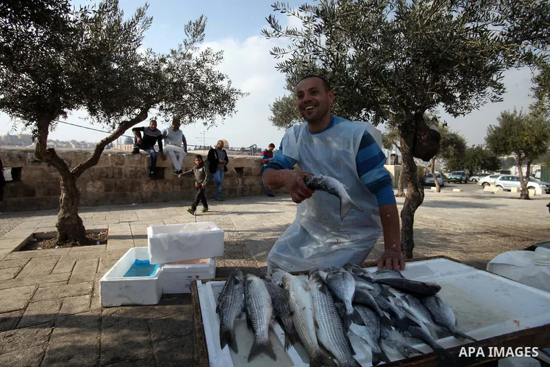 A Palestinian man sells fish outside the Al-Aqsa compound, Islam's third holiest site, following Friday prayers in the old city of Jerusalem February 14, 2014. Photo by Saeed Qaq
