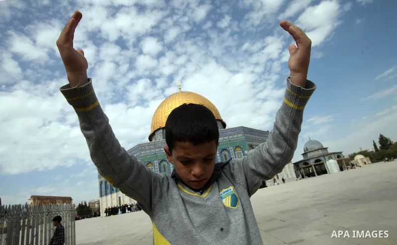 Palestinian worshipers attend Friday prayers at the Al-Aqsa compound, Islam's third holiest site, in the old city of Jerusalem February 14, 2014. Photo by Saeed Qaq