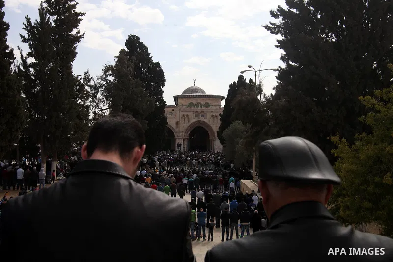 Palestinian worshipers attend Friday prayers at the Al-Aqsa compound, Islam's third holiest site, in the old city of Jerusalem February 14, 2014. Photo by Saeed Qaq