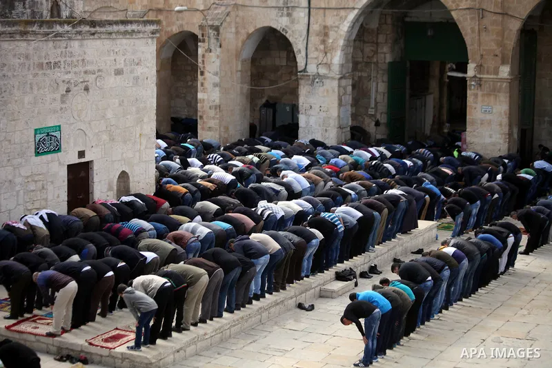 Palestinian worshipers attend Friday prayers at the Al-Aqsa compound, Islam's third holiest site, in the old city of Jerusalem February 14, 2014. Photo by Saeed Qaq