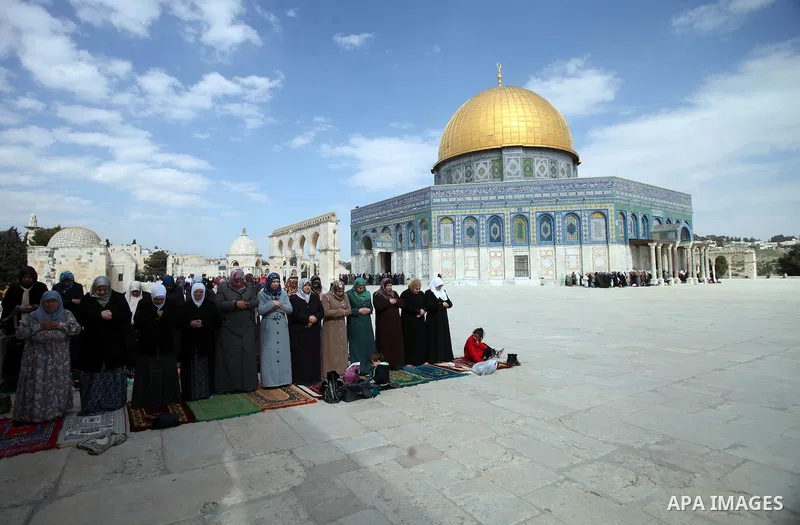 Palestinian worshipers attend Friday prayers at the Al-Aqsa compound, Islam's third holiest site, in the old city of Jerusalem February 14, 2014. Photo by Saeed Qaq