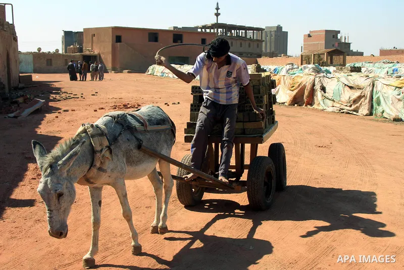 An Egyptian laborer loads bricks on a donkey cart at a brick factory facility in the suburb of Helwan, Cairo, Egypt on February 19, 2014. Egypt’s unemployment rate remained unchanged in the fourth quarter of 2013 at 13.4...