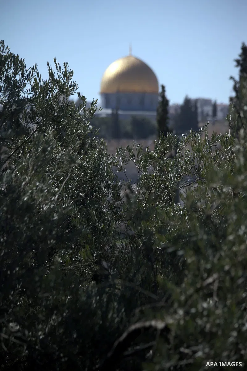 A pictures shows the Dome of the Rock mosque, Islam's third holiest site, in the old city of Jerusalem, on February 20, 2014. Photo by Saeed Qaq