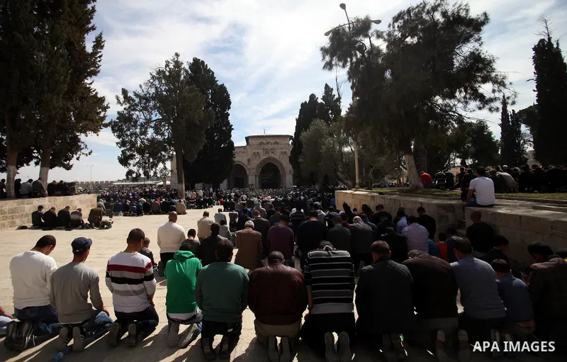 Palestinian worshipers attend Friday prayers at the Al-Aqsa compound, Islam's third holiest site, in the old city of Jerusalem February 21, 2014. Photo by Saeed Qaq