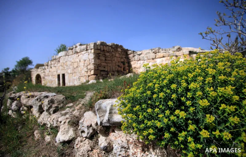 The remains of destroyed houses are seen in the village of Suba west of Jerusalem, March 05, 2014. Suba was a Palestinian Arab village west of Jerusalem that was mostly destroyed with the exception few deserted and parti...