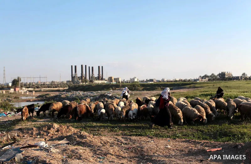 Palestinians walk past Gaza's power station in the Gaza Strip March 15, 2014. The Gaza Strip's sole power station stopped generating electricity on Saturday, causing blackouts throughout the territory after it ran out of...