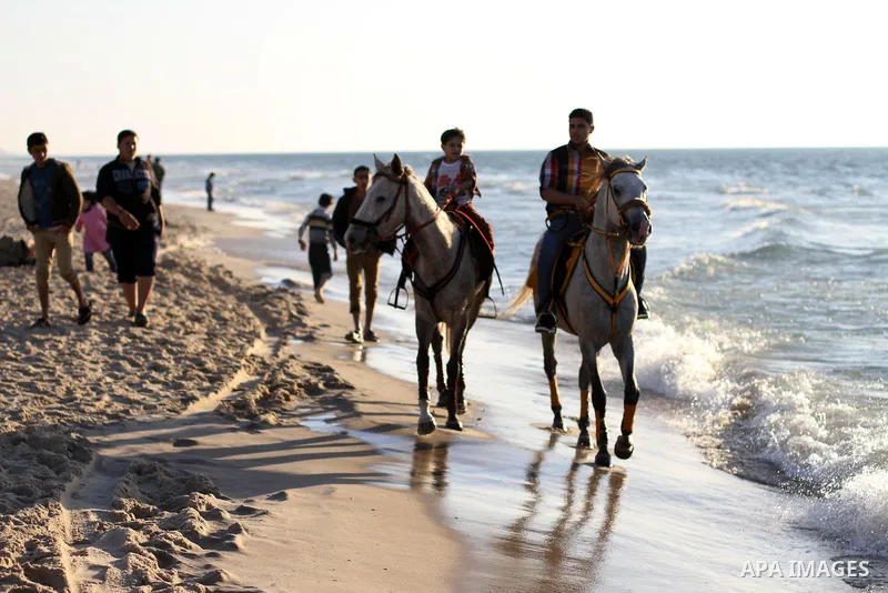 Palestinians ride horse during a hot weather at the beach of Gaza city, on March 28, 2014. Photo by Mohammed Asad