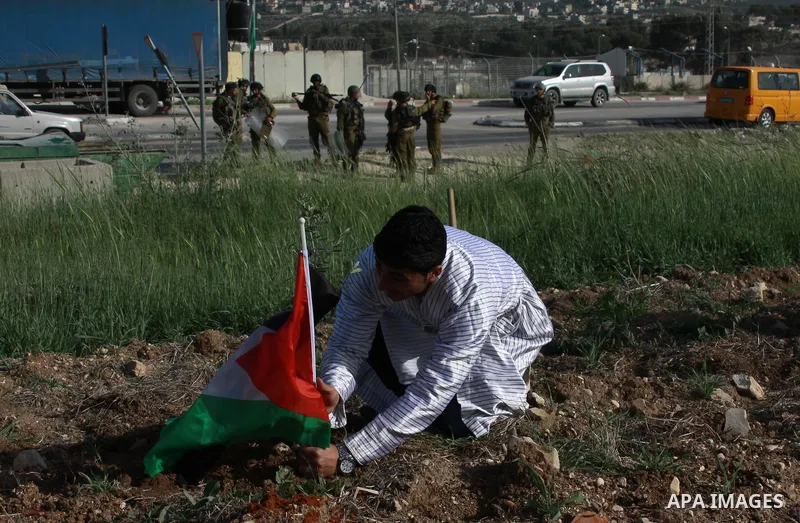 A Palestinian dressed up as farmers plants trees as they take part in a rally marking Land Day at Hawara checkpoint near the West Bank city of Nablus on March 29, 2013. The annual demonstrations mark the deaths of six Ar...