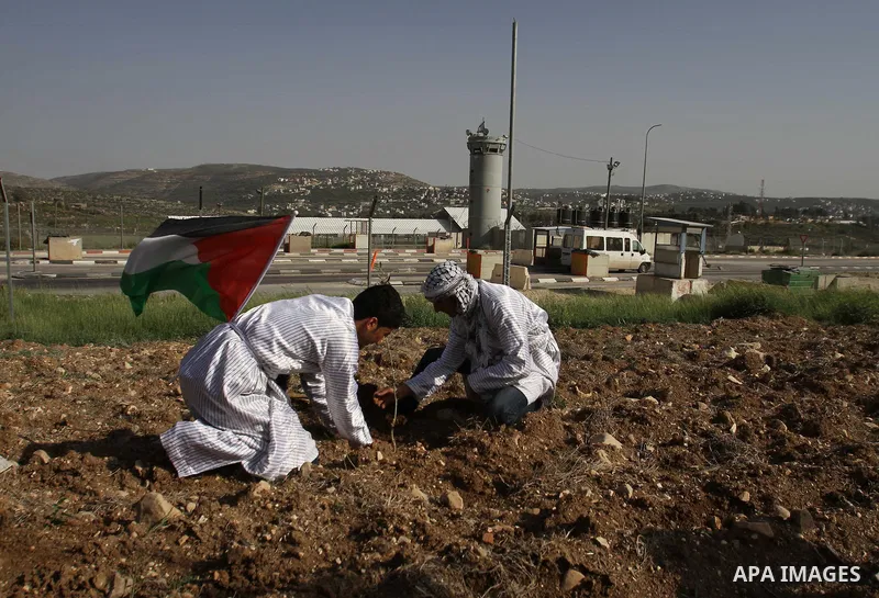 Palestinians dressed up as farmers plant trees as they take part in a rally marking Land Day at Hawara checkpoint near the West Bank city of Nablus on March 29, 2013. The annual demonstrations mark the deaths of six Arab...
