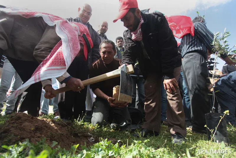Palestinian supporters of the Popular Front for the Liberation of Palestine participate in a cultivation of olive trees during a rally marking Land Day in Jabalya in the northern Gaza Strip on March 30, 2014. The annual...