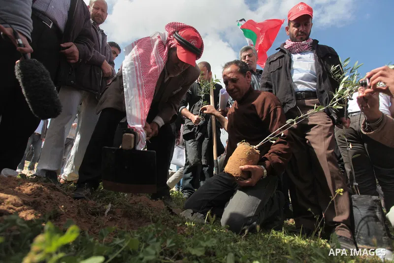 Palestinian supporters of the Popular Front for the Liberation of Palestine participate in a cultivation of olive trees during a rally marking Land Day in Jabalya in the northern Gaza Strip on March 30, 2014. The annual...