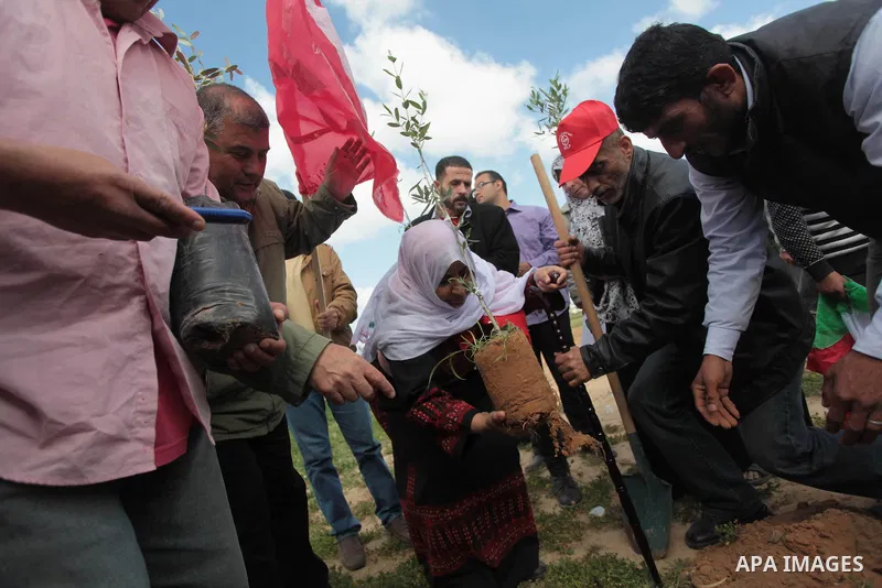 Palestinian supporters of the Popular Front for the Liberation of Palestine participate in a cultivation of olive trees during a rally marking Land Day in Jabalya in the northern Gaza Strip on March 30, 2014. The annual...