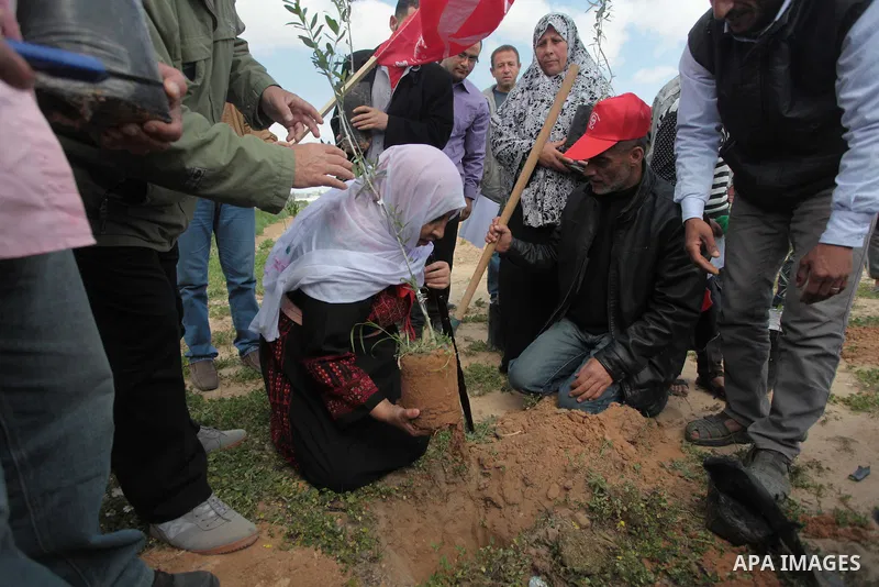 Palestinian supporters of the Popular Front for the Liberation of Palestine participate in a cultivation of olive trees during a rally marking Land Day in Jabalya in the northern Gaza Strip on March 30, 2014. The annual...