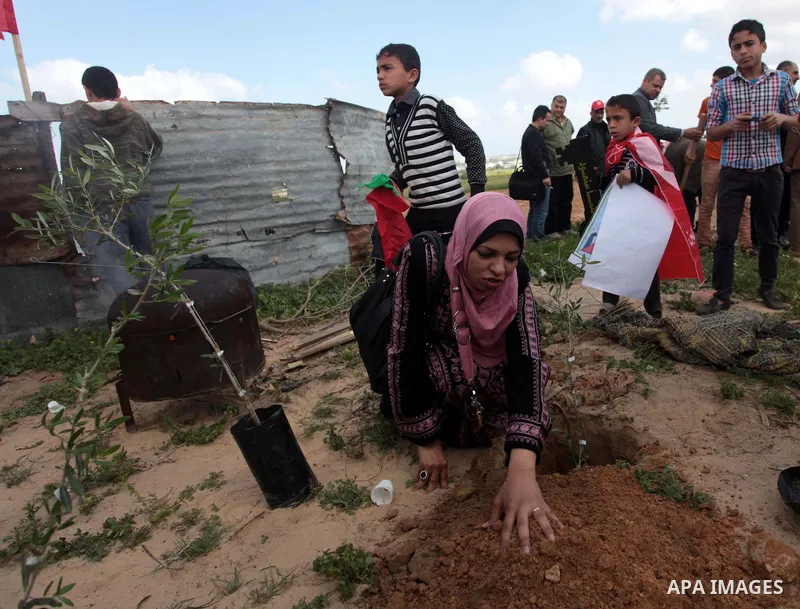 Palestinian supporters of the Popular Front for the Liberation of Palestine participate in a cultivation of olive trees during a rally marking Land Day in Jabalya in the northern Gaza Strip on March 30, 2014. The annual...