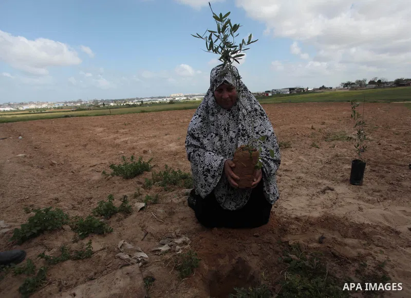 Palestinian supporters of the Popular Front for the Liberation of Palestine participate in a cultivation of olive trees during a rally marking Land Day in Jabalya in the northern Gaza Strip on March 30, 2014. The annual...