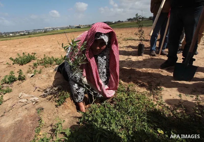 Palestinian supporters of the Popular Front for the Liberation of Palestine participate in a cultivation of olive trees during a rally marking Land Day in Jabalya in the northern Gaza Strip on March 30, 2014. The annual...
