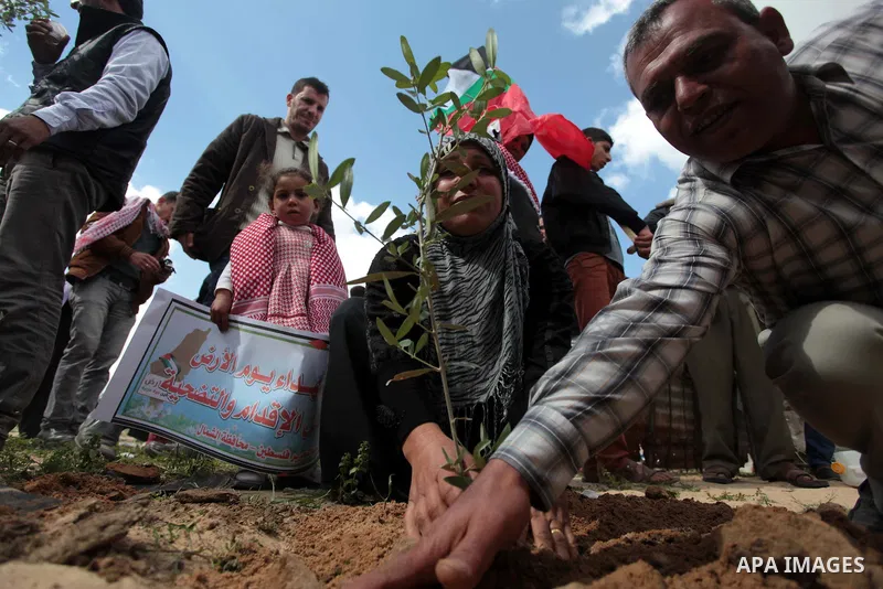 Palestinian supporters of the Popular Front for the Liberation of Palestine participate in a cultivation of olive trees during a rally marking Land Day in Jabalya in the northern Gaza Strip on March 30, 2014. The annual...