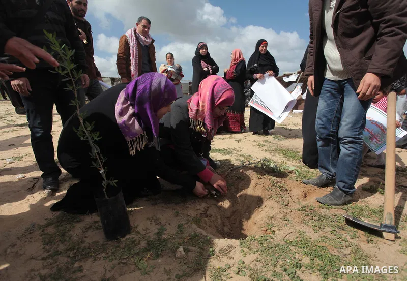Palestinian supporters of the Popular Front for the Liberation of Palestine participate in a cultivation of olive trees during a rally marking Land Day in Jabalya in the northern Gaza Strip on March 30, 2014. The annual...