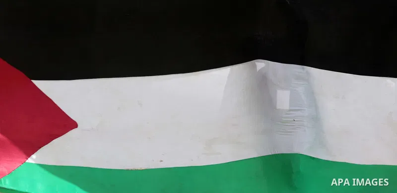 A protester waves a Palestinian flag towards the Israeli border during a protest marking Land Day at the border between Israel and Gaza Strip, on March 30, 2014. March 30 marks Land Day, the annual commemoration of prote...