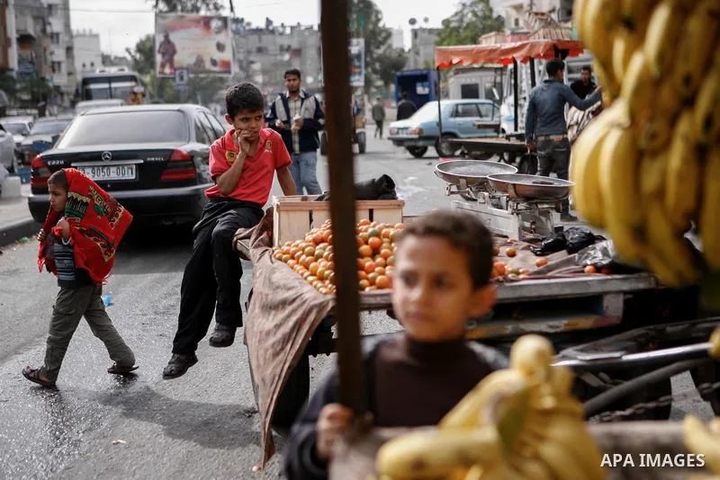 A Palestinian boy sells vegetables at the market in Gaza city, on April 11, 2014. Photo by Ezz al-Zanoon