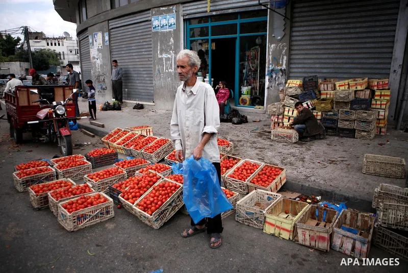 A Palestinian man sells vegetables at the market in Gaza city, on April 11, 2014. Photo by Ezz al-Zanoon