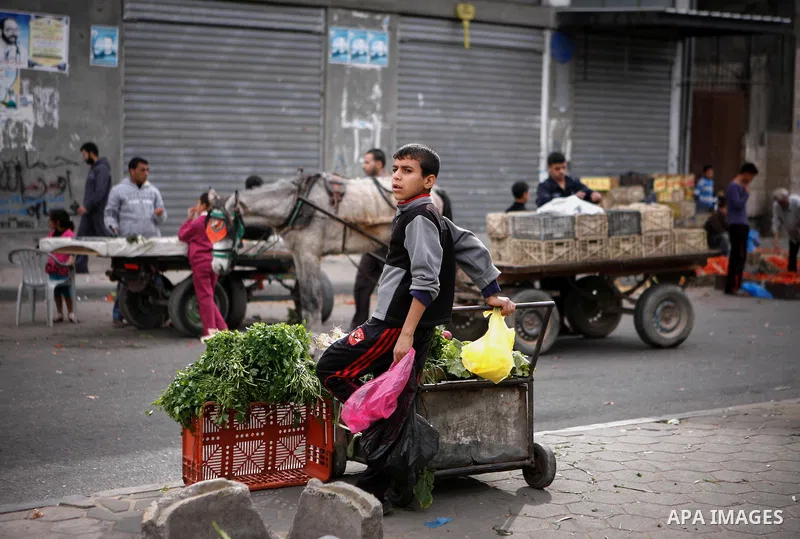 A Palestinian boy sells vegetables at the market in Gaza city, on April 11, 2014. Photo by Ezz al-Zanoon