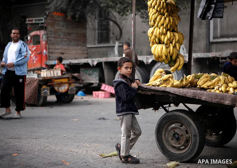 Palestinians shop at the market in Gaza city, on April 11, 2014. Photo by Ezz al-Zanoon