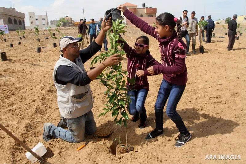 Palestinian children participate in planting olive trees during a rally marking "World Orphan's Day" organized by the Turkish humanitarian relief IHH, in Gaza City, on April 13, 2014. Photo by Mohammed Asad