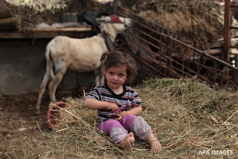 A Palestinian Bedouin girl plays outside a shed near her family's house, in Gaza City on May 04, 2014. Photo by Ashraf Amra