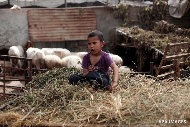 A Palestinian Bedouin boy plays outside a shed near his family's house, in Gaza City on May 04, 2014. Photo by Ashraf Amra