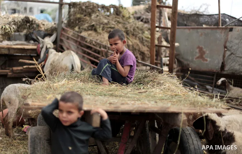 Palestinian Bedouin children play outside a shed near their family's house, in Gaza City on May 04, 2014. Photo by Ashraf Amra