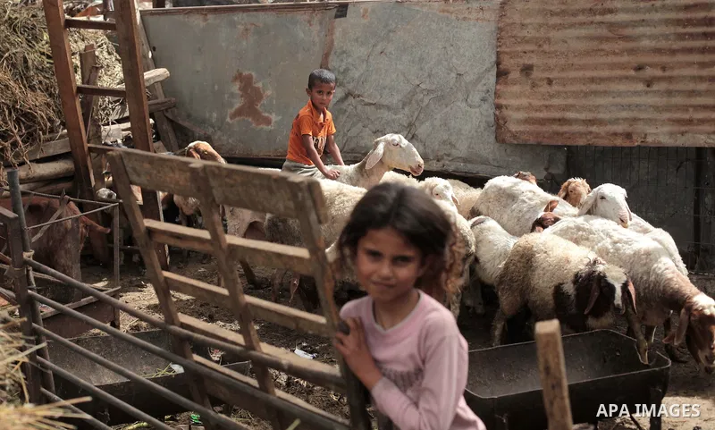 Palestinian Bedouin children play outside a shed near their family's house, in Gaza City on May 04, 2014. Photo by Ashraf Amra