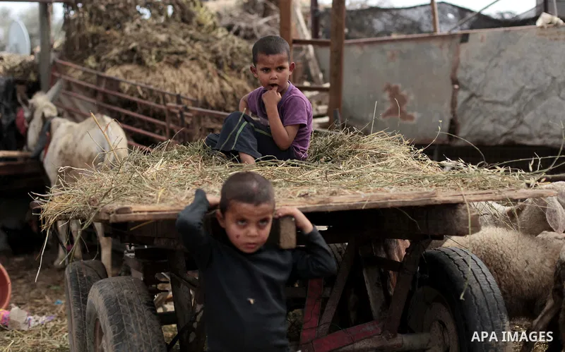 Palestinian Bedouin children play outside a shed near their family's house, in Gaza City on May 04, 2014. Photo by Ashraf Amra