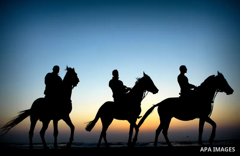 Palestinian jockeys ride their horses at club in Gaza city on on May 10, 2014. Photo by Ezz Zanoon