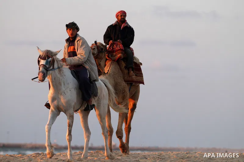 Palestinian men ride their camel on the sea at Gaza beach on May 11, 2014. Photo by Yasser Qudih