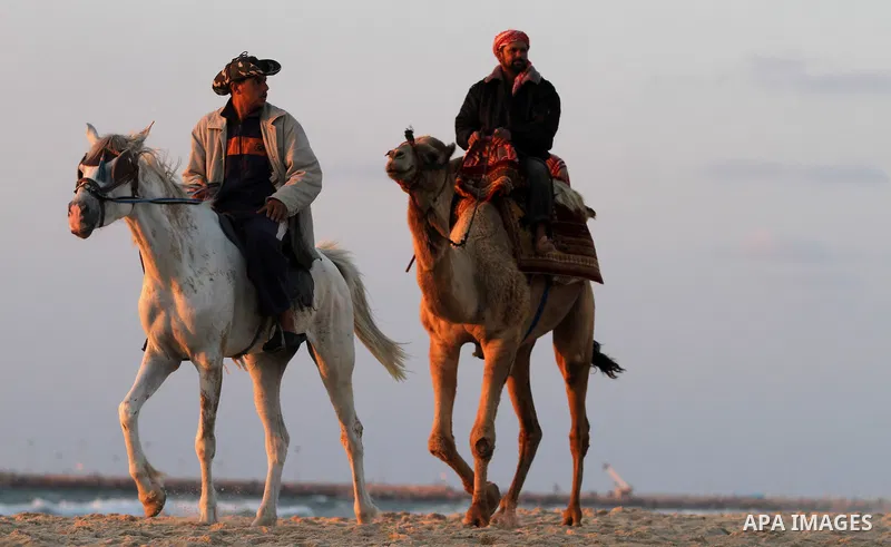 Palestinian men ride their camel on the sea at Gaza beach on May 11, 2014. Photo by Yasser Qudih