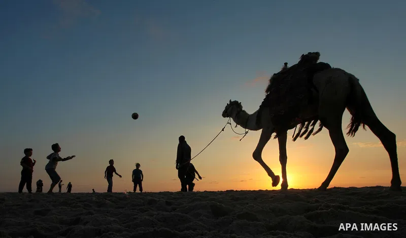 Palestinians enjoy playing during the sunset in the sea at Gaza beach on May 11, 2014. Photo by Yasser Qudih
