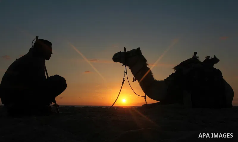 A Palestinian man sits with his camel during the sunset in the sea at Gaza beach on May 11, 2014. Photo by Yasser Qudih