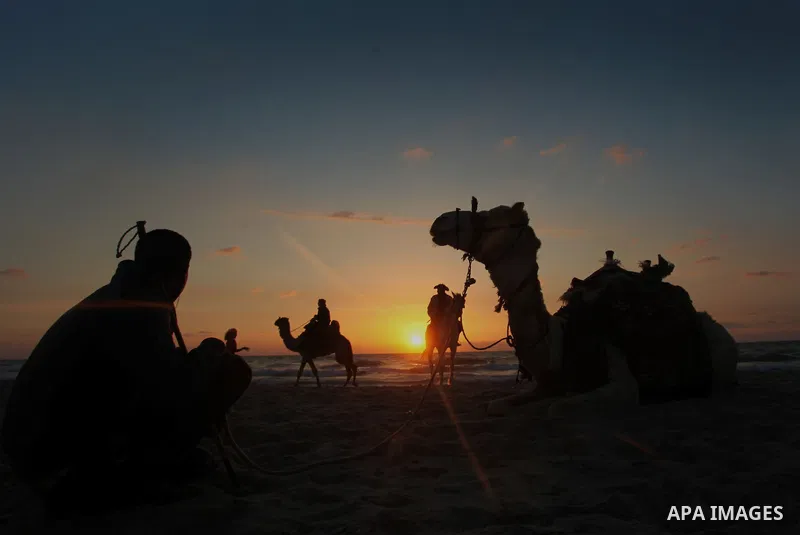 A Palestinian man sits with his camel during the sunset in the sea at Gaza beach on May 11, 2014. Photo by Yasser Qudih