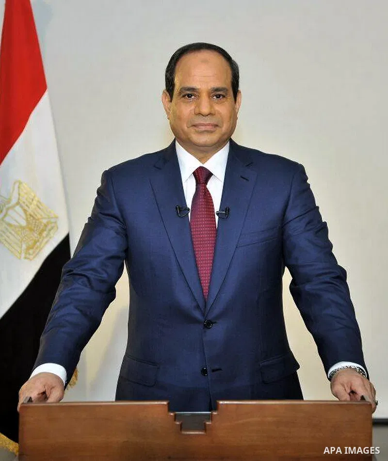 A handout photo released by the presidential election campaign of Abdel Fattah al-Sisi, shows ex-army chief and newly elected Egyptian President Abdel Fattah al-Sisi speaking in a televised address to his nation on June...