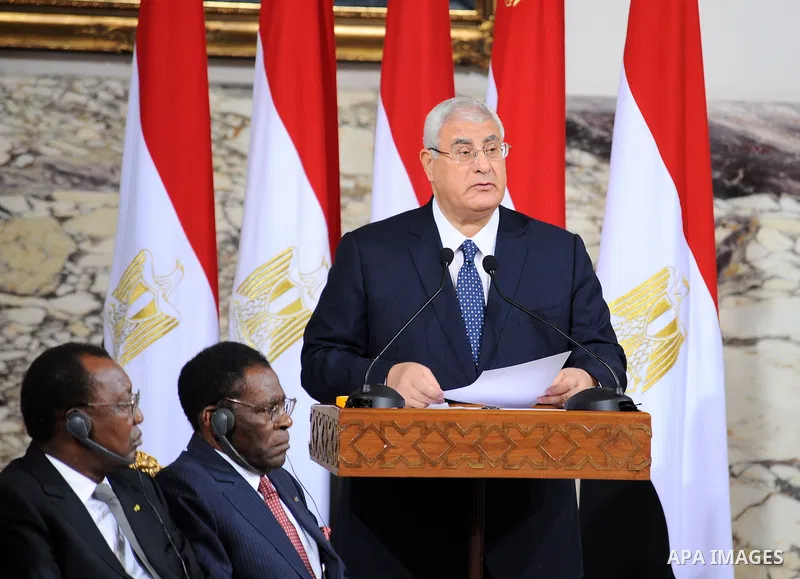 A handout picture made available on June 8, 2014 by the Egyptian presidency shows outgoing interim president Adly Mansour delivering a speech after signing the handing over of power document in Cairo. Former army chief A...
