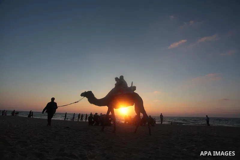 Palestinians ride a camel on the beach in Gaza city, on June 13, 2014. Friday is the Muslim holiday and as summer is entering many Palestinian people go to the beach since it is the major entertainment area in the Gaza S...