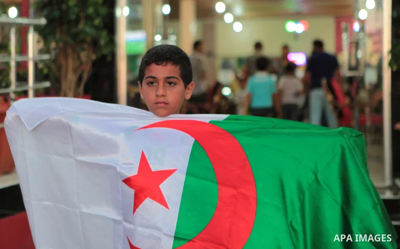 A Palestinian boy holds Algerian flag as others watch the match between Algeria and Belgium during the 2014 FIFA World Cup in Brazil, on June 17, 2014 in a cafe in Gaza City. Photo by Ezz Zanoun