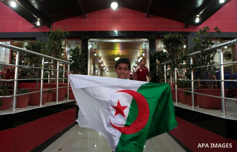 A Palestinian boy holds Algerian flag as others watch the match between Algeria and Belgium during the 2014 FIFA World Cup in Brazil, on June 17, 2014 in a cafe in Gaza City. Photo by Ezz Zanoun