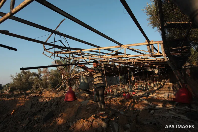 Palestinian men inspect a chicken coop damaged in an Israeli air strike in Khan Younis in the southern Gaza Strip June 25, 2014. Militants in the Gaza Strip, a coastal enclave where Hamas is dominant and has vowed reveng...