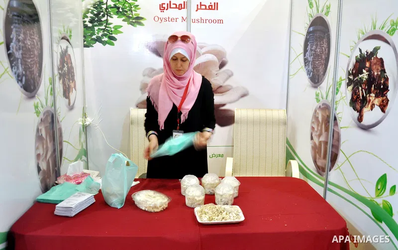 Palestinians take part in the Palestinian food exhibition, organized by the general union of Palestinian industries, in Gaza City on June 25, 2014. Photo by Mohammed Talatene