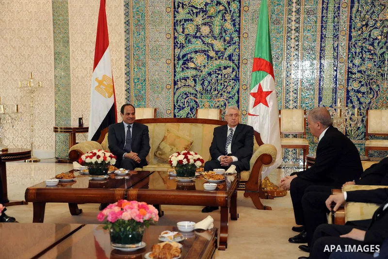 A handout photo made available by the Egyptian Presidency shows Egyptian President Abdel Fattah al-Sissi meeting with Algerian Senate speaker Abdelkader Bensalah upon his arrival at Houari-Boumediene International Airpor...